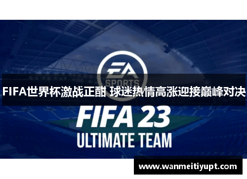 FIFA世界杯激战正酣 球迷热情高涨迎接巅峰对决