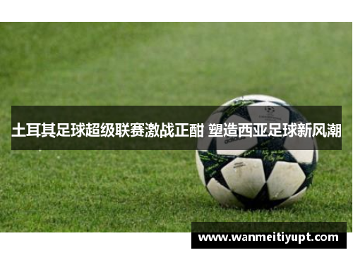 土耳其足球超级联赛激战正酣 塑造西亚足球新风潮